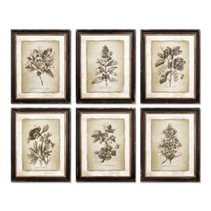 six framed pictures with leaves on them