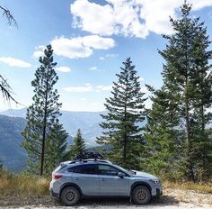 a car parked on the side of a dirt road in front of some pine trees