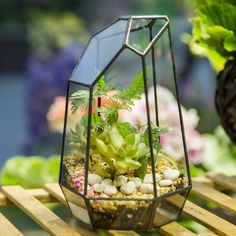 a glass vase filled with plants on top of a wooden table next to potted plants