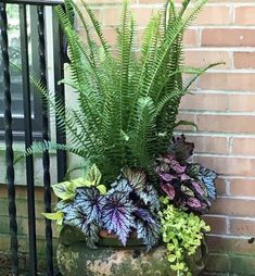 a planter filled with lots of green plants next to a brick wall