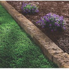 purple flowers are growing in the grass near a brick garden edging area with mulch