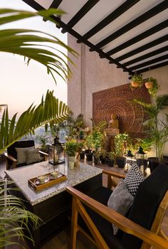 a living room filled with lots of potted plants