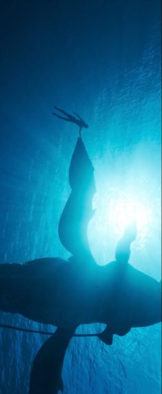 the silhouette of a person standing on a surfboard in the water with sunlight coming through