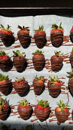 chocolate covered strawberries are arranged in the shape of hearts