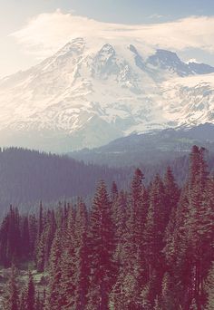 the mountain is covered in snow and surrounded by tall pine trees, as well as evergreens