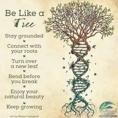 a tree that has been drawn on to it with the words, be like a tree stay grounded connect with your roots turn over a new leaf bend before you break enjoy your natural beauty keep