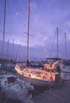 a sailboat is decorated with christmas lights on the dock