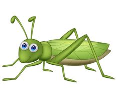 a green insect with big eyes on a white background