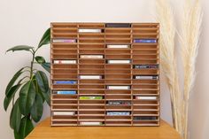 a wooden shelf filled with cd's on top of a table next to a plant