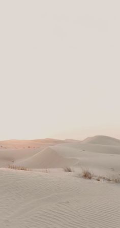 two people walking through the sand dunes at sunset