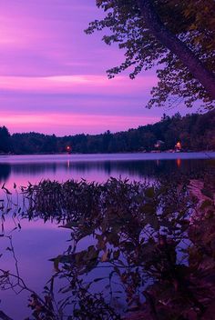 a purple sky is reflected in the still water of a lake with trees around it