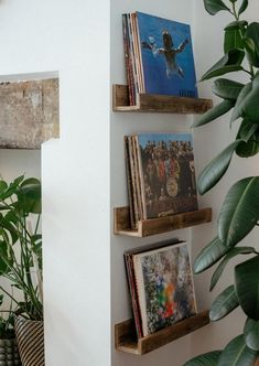 three wooden shelves with pictures on them next to a potted plant in a room