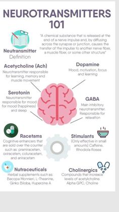 the neurotransmitters 101 is shown in this graphic above it's description