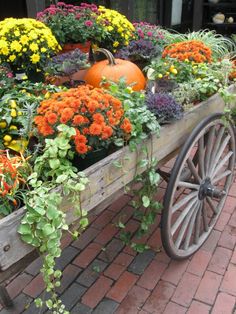 a wagon filled with lots of flowers and plants