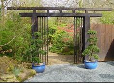 an outdoor garden with trees and plants in blue pots next to a wooden gate that leads into the yard