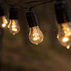 some light bulbs are hanging from a string in the dark with water droplets on them