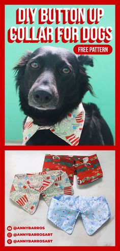 a black dog wearing a bow tie and shorts with the words, diy button up collar for dogs free pattern