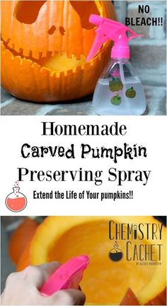 homemade carved pumpkin preserving spray for halloween