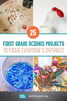 the first grade science projects to promote everyone's interest