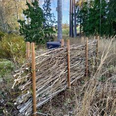 a fence made out of sticks in the woods