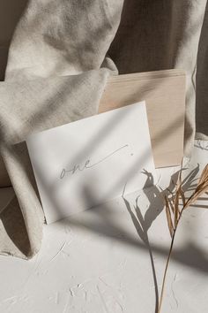 a card with the word one written on it next to some dried grass and a pillow