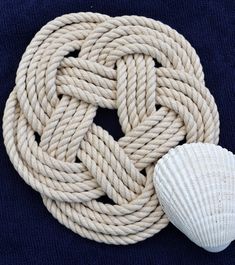 a white rope and a shell on a blue surface