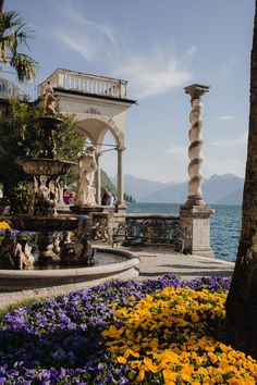 flowers are in the foreground and an ornate fountain on the other side