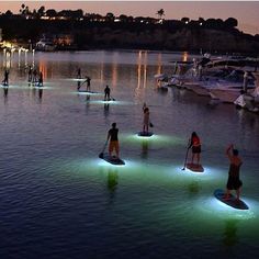 several people stand on surfboards in the water at night, with lights reflecting off them