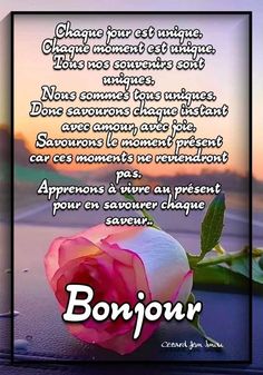 a pink rose sitting on top of a table next to a sign that says bonjour