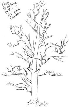 a drawing of a tree with different branches