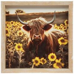 a cow with horns standing in a field of sunflowers