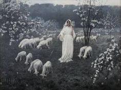 an old photo of a woman in a field with sheep