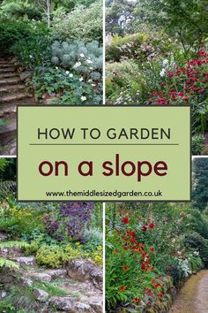 garden steps and flowers with text overlay how to garden on a slope