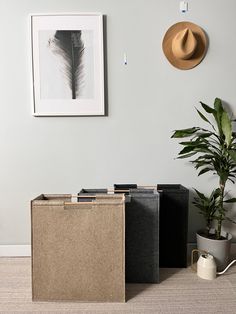 two boxes are sitting next to each other on the floor in front of a plant