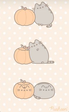 three cats sitting next to each other with pumpkins in front of them on a polka dot background