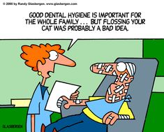 Dental Humor Dentist Jokes, Dental Insurance Plans