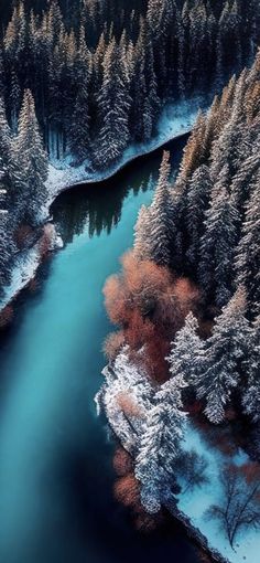 an aerial view of a river surrounded by snow covered trees and evergreens in the background