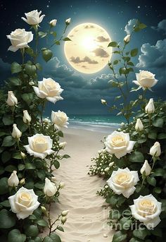 a painting of white roses on a beach with the moon in the sky above it