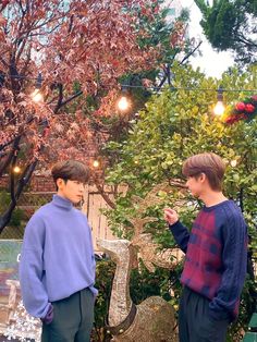 two young boys standing in front of a tree with lights hanging from it's branches