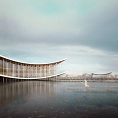 an artistic rendering of a curved building on the edge of a body of water with birds flying around it