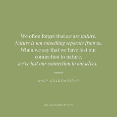 a quote from andy goldsworthy on nature