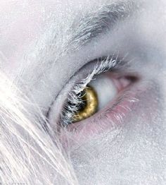 the eye of a person with white hair