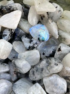 What you’ll receive: one glass vial full of 100% Genuine moonstone chips. A+ quality, blue flash pieces rainbow moonstone 🦄A stone for “new beginnings”, Moonstone is a stone of inner growth and strength. This powerful crystal connects with one’s emotional body and current mental state. Rainbow Moonstone is a powerful ally in helping maintain mental clarity throughout the day and assists in shielding your aura from negative vibrations attempting to attach onto you. By helping keep your mind clea Moonstone Aesthetic Wallpaper, Moon Stone Aesthetic, Moonstone Natural Stones Healing Crystals, Moonstone Wallpaper, Healing Stones And Crystals, Shiny Rocks, Gravel Stones, Crystal Vibes, Inner Growth