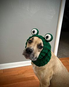 a brown dog wearing a green knitted frog hat