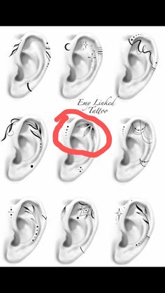 an image of different types of ear piercings