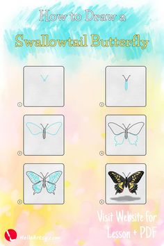 how to draw a swallowtail butterfly with pictures on the front and side