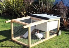 a small chicken coop with two chickens in it