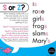 a speech bubble with the words sor z is rose girls frogs slam mary's