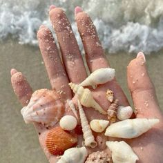 a person's hand with shells and sand on the beach