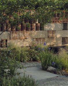 an outdoor garden with various plants and flowers